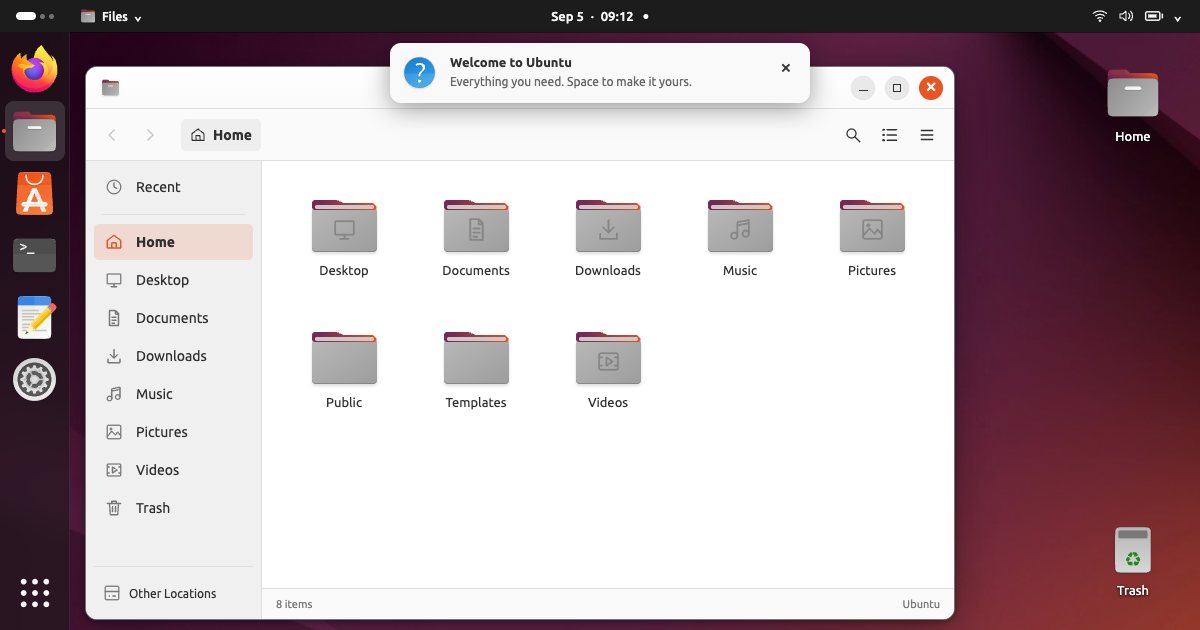 Screenshot of the Ubuntu demo